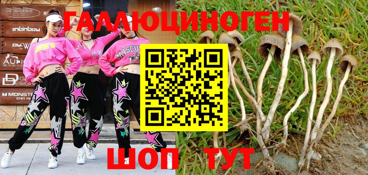 Кыштым  Вход с VPN  Cocaine  МЕТ  Конопля  LSD-25  APVP СОЛЬ кристаллы  Меф   Гашиш 