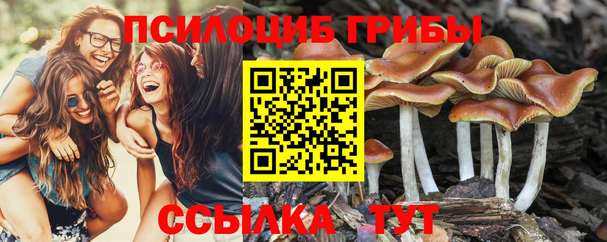 Галлюциногенные грибы мухоморы Кыштым